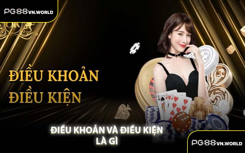 Điều Khoản Và Điều Kiện Là Gì 