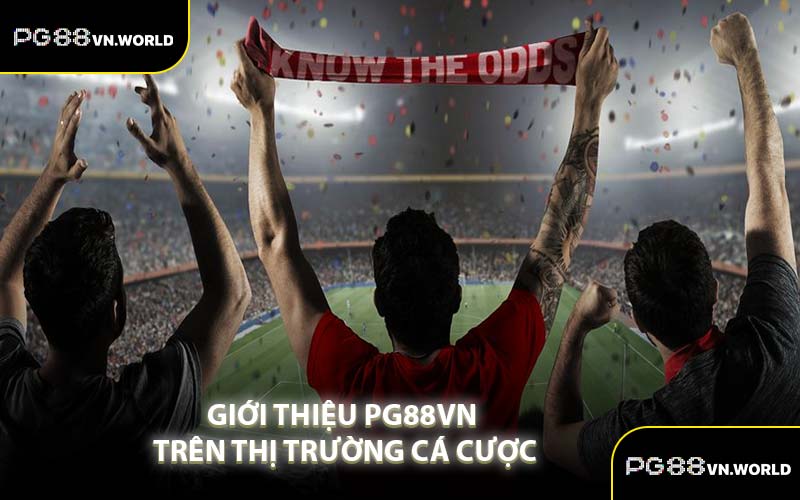 Giới Thiệu PG88VN Trên Thị Trường Cá Cược